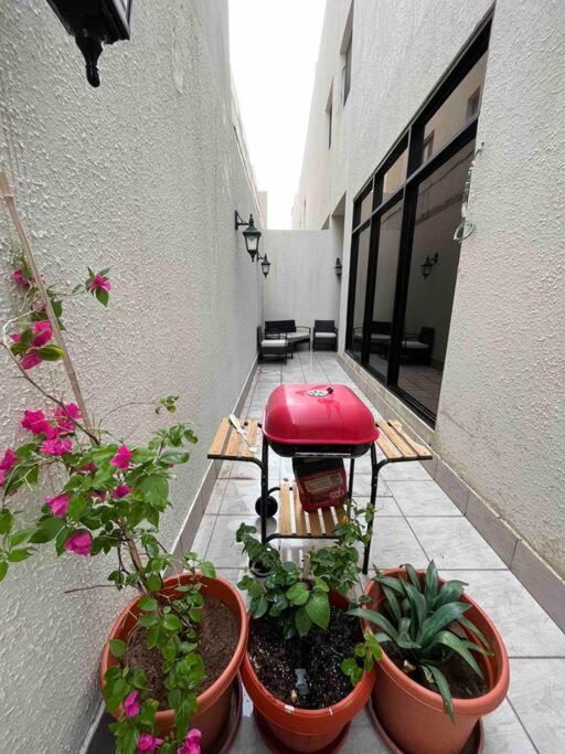 Almajdeah Luxurious Walk To Blvd